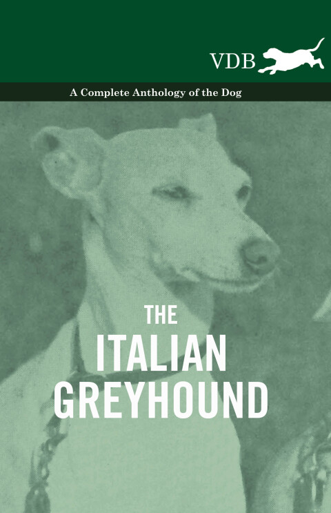 Cover image for book The Italian Greyhound - A Complete Anthology of the Dog