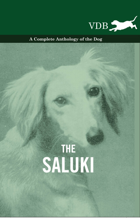 Cover image for book The Saluki - A Complete Anthology of the Dog