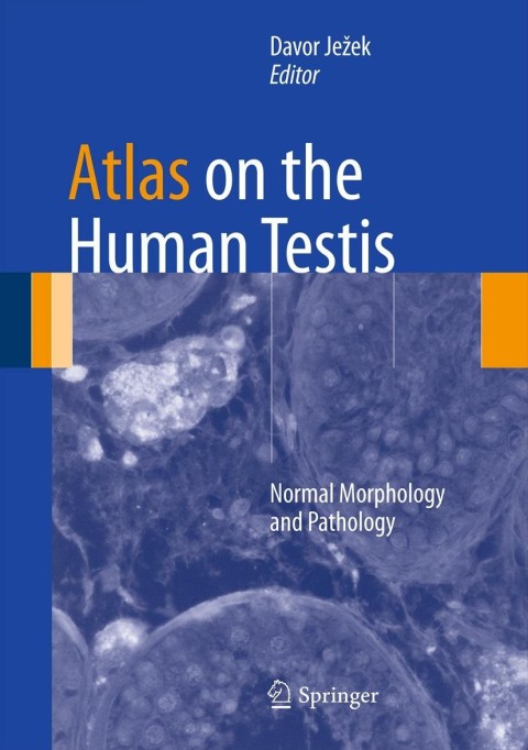 Cover image for book Atlas on the Human Testis