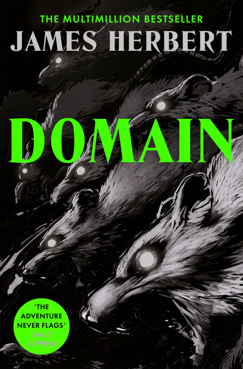 Cover image for book Domain