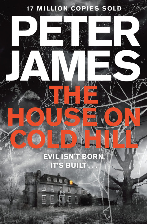 Cover image for book The House on Cold Hill