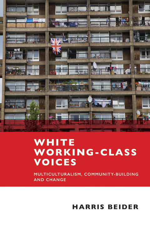 Cover image for book White working-class voices