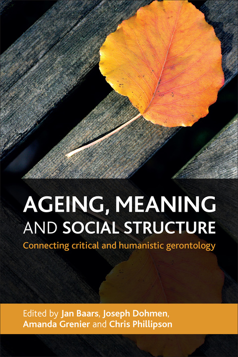 Cover image for book Ageing, meaning and social structure