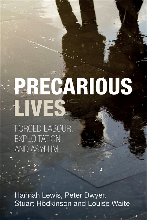 Cover image for book Precarious lives
