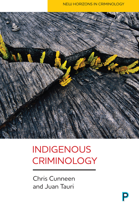 Cover image for book Indigenous criminology