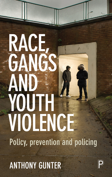 Cover image for book Race, gangs and youth violence