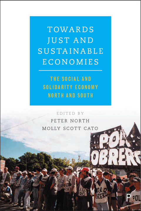 Cover image for book Towards Just and Sustainable Economies