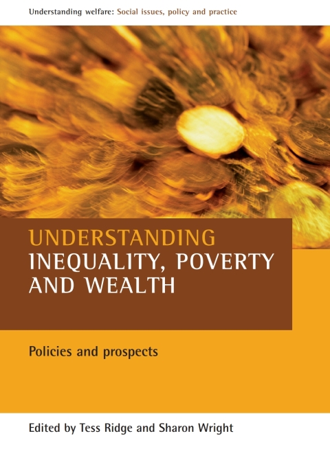 Cover image for book Understanding inequality, poverty and wealth