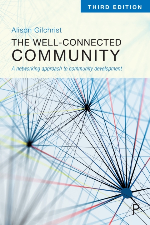 Cover image for book The Well-Connected Community