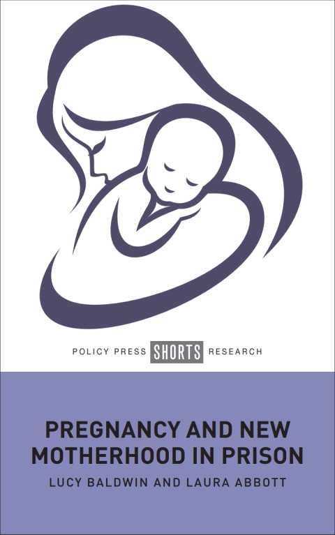 Cover image for book Pregnancy and New Motherhood in Prison