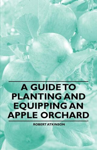 A Guide to Planting and Equipping an Apple Orchard