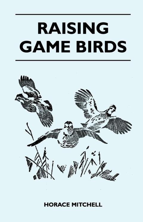 Cover image for book Raising Game Birds