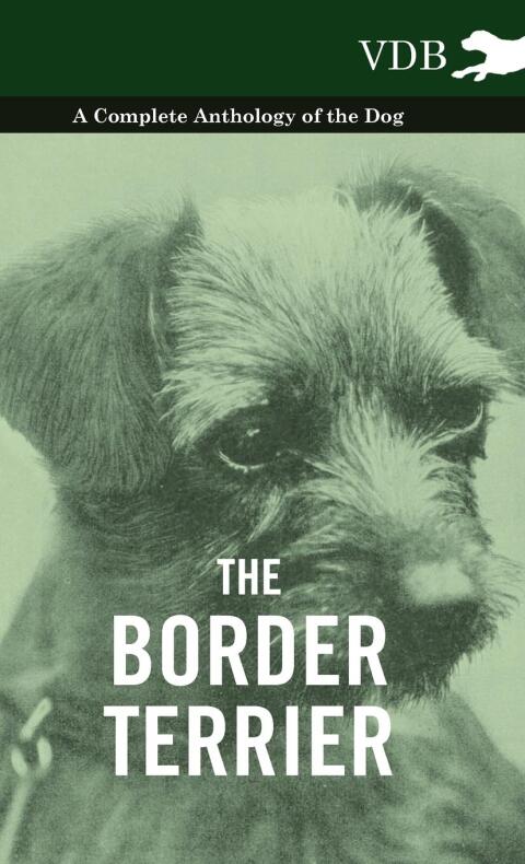 Cover image for book The Border Terrier - A Complete Anthology of the Dog -