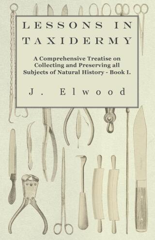 Lessons in Taxidermy - A Comprehensive Treatise on Collecting and Preserving all Subjects of Natural History - Book I.