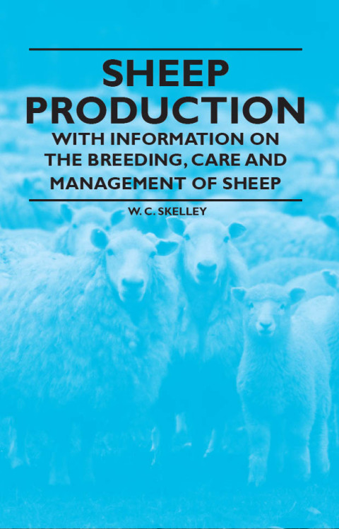 Cover image for book Sheep Production - With Information on the Breeding, Care and Management of Sheep
