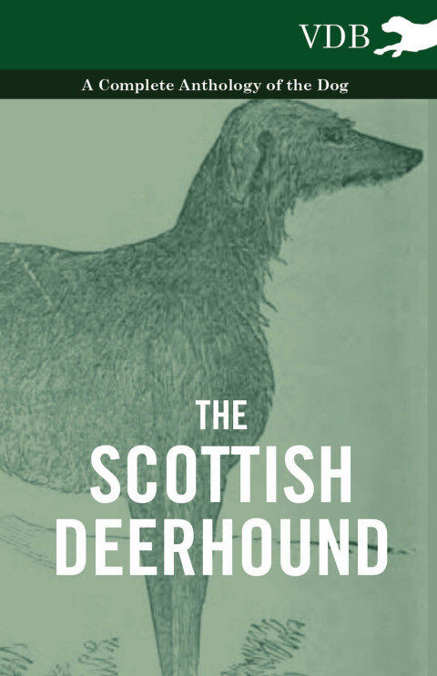 Cover image for book The Scottish Deerhound - A Complete Anthology of the Dog