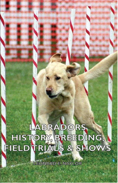 Cover image for book Labradors - History, Breeding, Field Trials & Shows