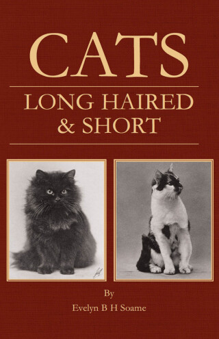 Cats - Long Haired and Short - Their Breeding, Rearing & Showing