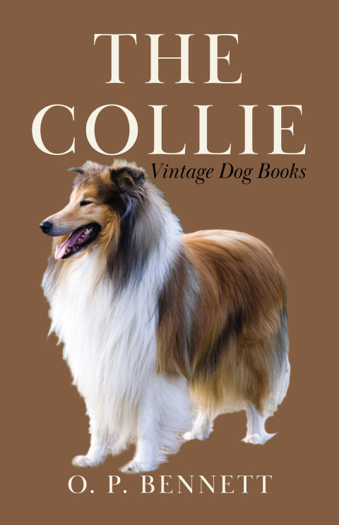 Cover image for book The Collie
