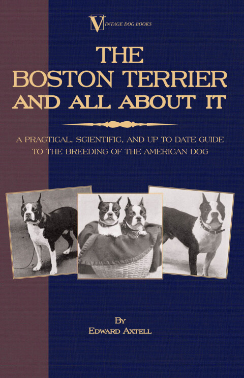 Cover image for book The Boston Terrier and All about It: A Practical, Scientific, and Up to Date Guide to the Breeding of the American Dog