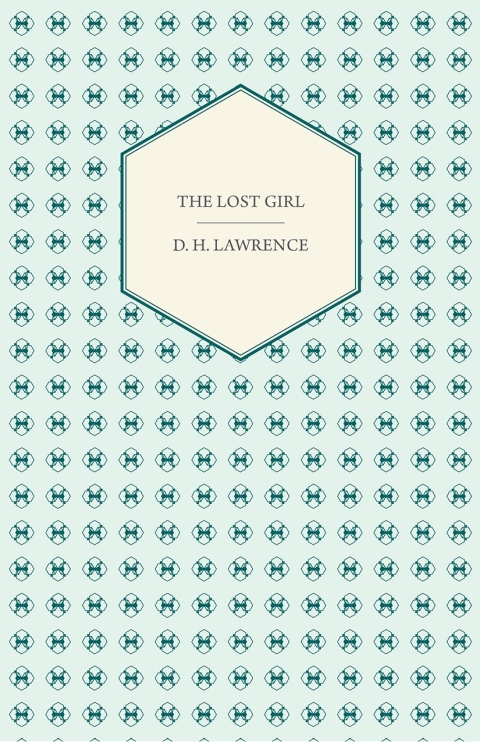 Cover image for book The Lost Girl