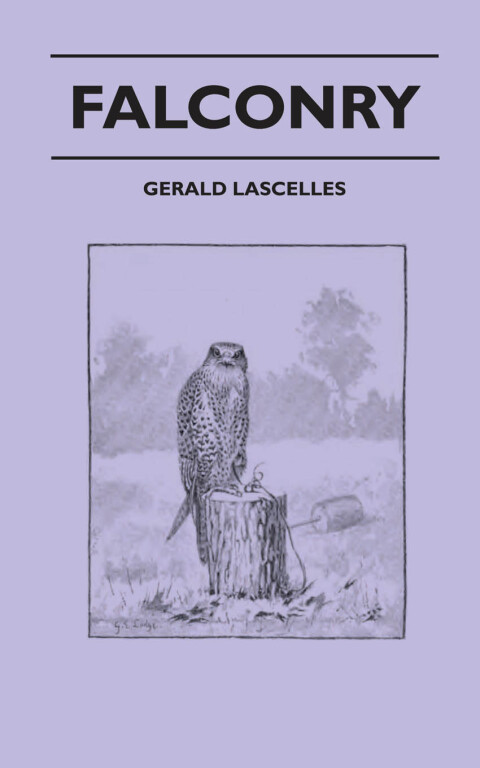 Falconry 
