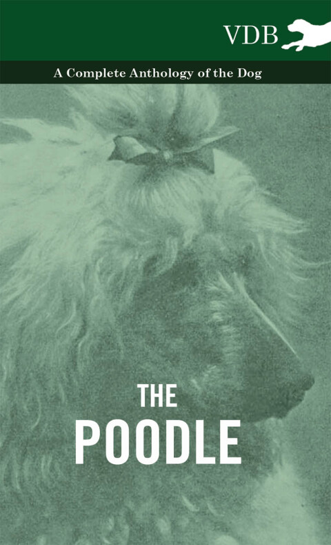 Cover image for book The Poodle - A Complete Anthology of the Dog