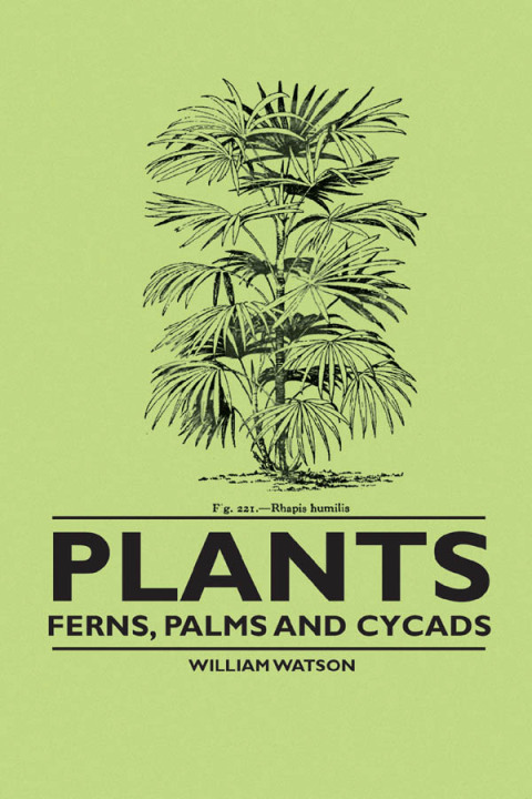 Cover image for book Plants - Ferns, Palms and Cycads