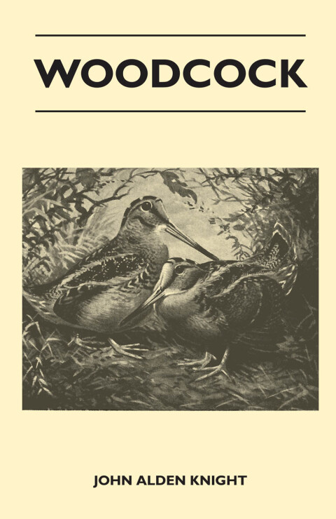 Cover image for book Woodcock