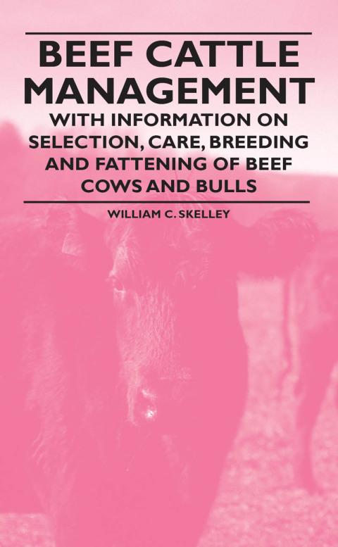 Cover image for book Beef Cattle Management - With Information on Selection, Care, Breeding and Fattening of Beef Cows and Bulls