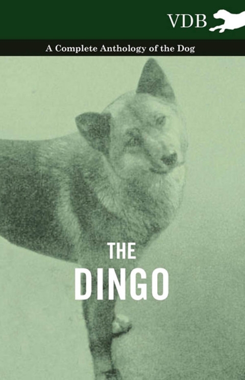 Cover image for book The Dingo - A Complete Anthology of the Dog -