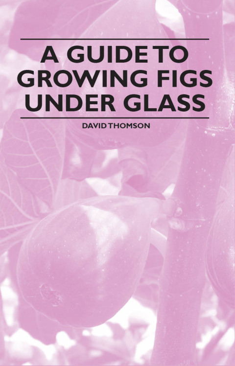 Cover image for book A Guide to Growing Figs Under Glass