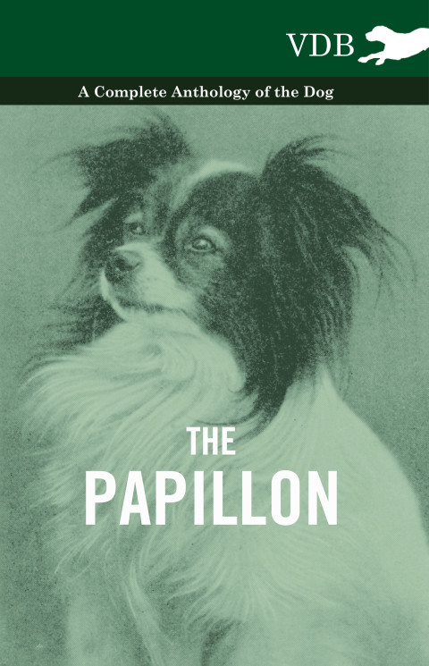 Cover image for book The Papillon - A Complete Anthology of the Dog
