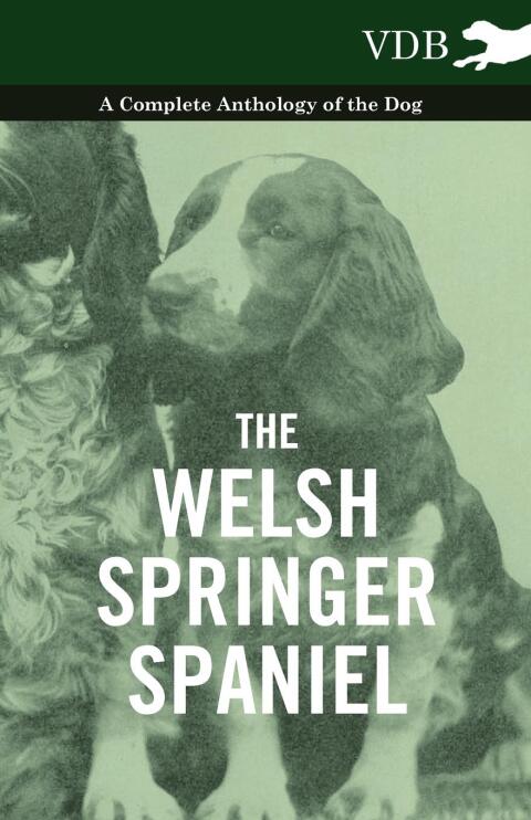 Cover image for book The Welsh Springer Spaniel - A Complete Anthology of the Dog