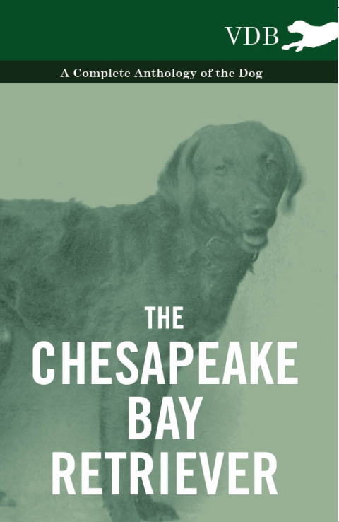 Cover image for book The Chesapeake Bay Retriever - A Complete Anthology of the Dog -