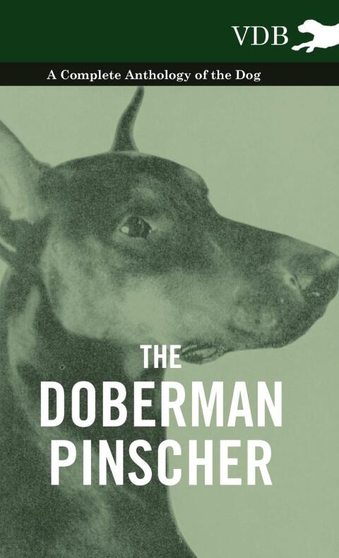 Cover image for book The Doberman Pinscher - A Complete Anthology of the Dog -