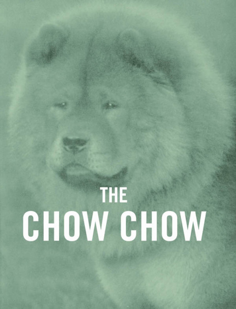 Cover image for book The Chow Chow - A Complete Anthology of the Dog -