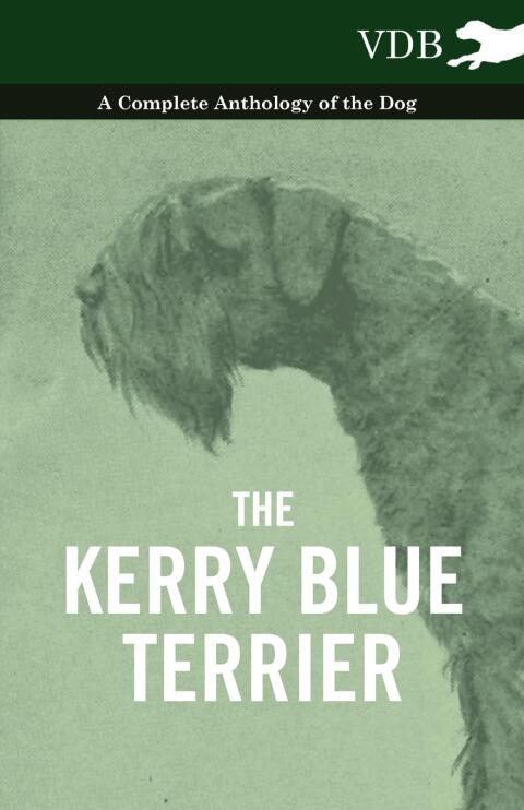 Cover image for book The Kerry Blue Terrier - A Complete Anthology of the Dog