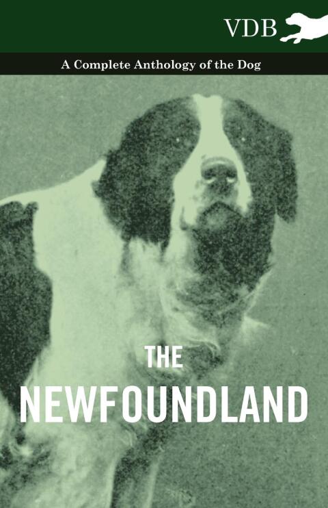 Cover image for book The Newfoundland - A Complete Anthology of the Dog