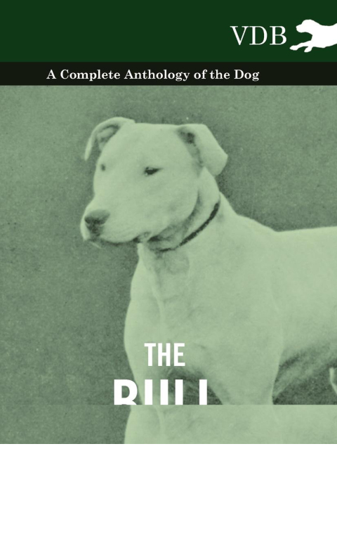 Cover image for book The Bull Terrier - A Complete Anthology of the Dog -