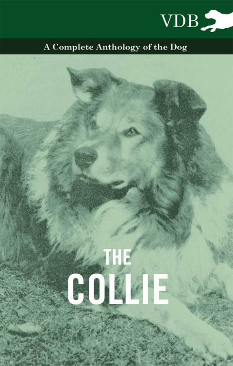 Cover image for book The Collie - A Complete Anthology of the Dog -