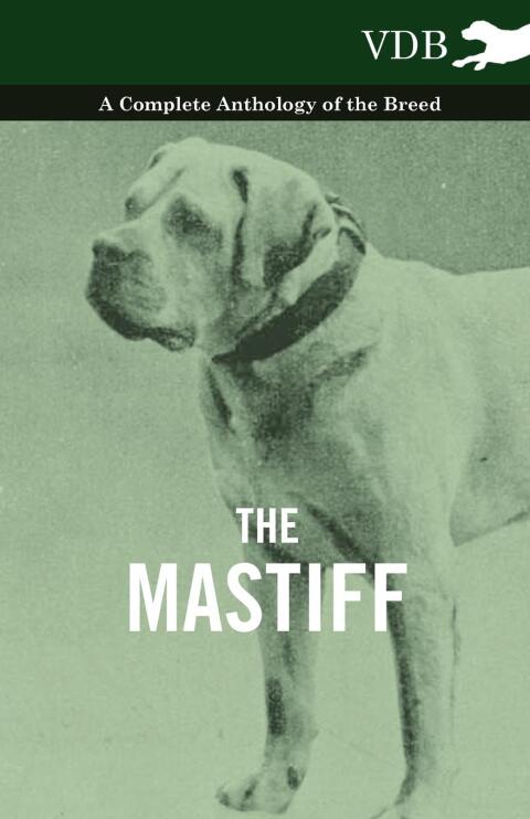 Cover image for book The Mastiff - A Complete Anthology of the Breed