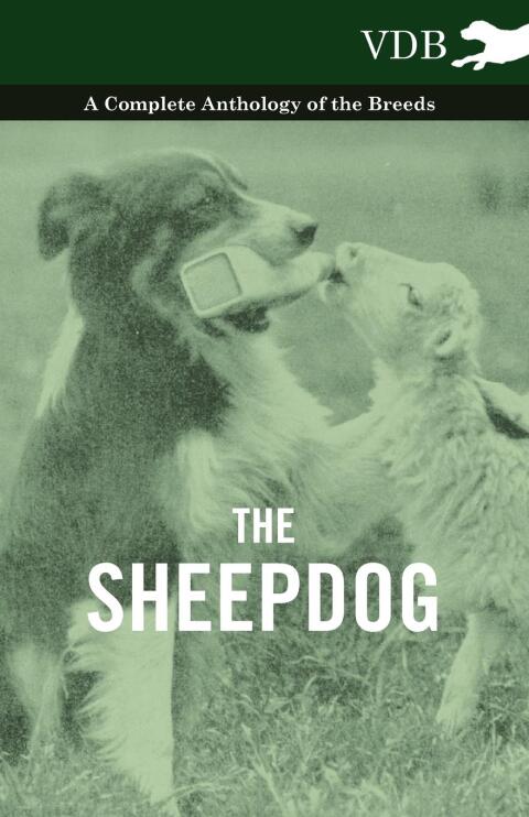 Cover image for book The Sheepdog - A Complete Anthology of the Breeds