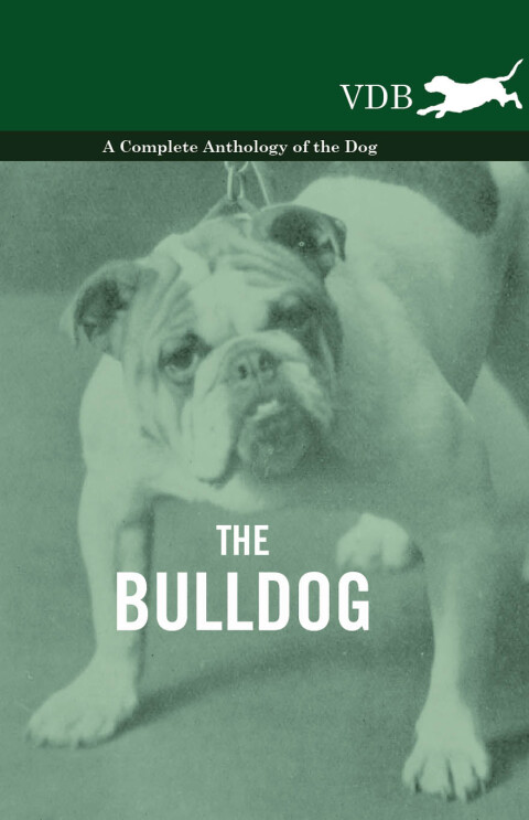 Cover image for book The Bulldog - A Complete Anthology of the Dog -