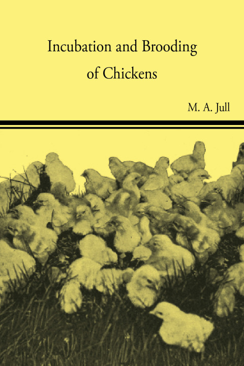 Cover image for book Incubation and Brooding of Chickens