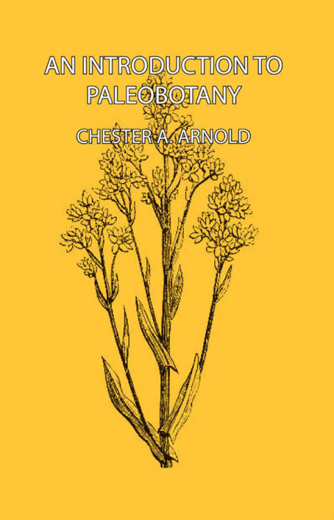 Cover image for book An Introduction to Paleobotany