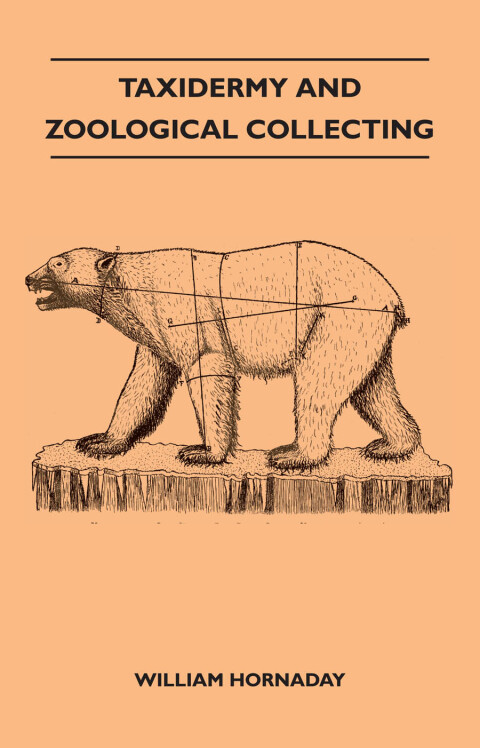 Cover image for book Taxidermy and Zoological Collecting - A Complete Handbook for the Amateur Taxidermist, Collector, Osteologist, Museum-Builder, Sportsman and Travellers