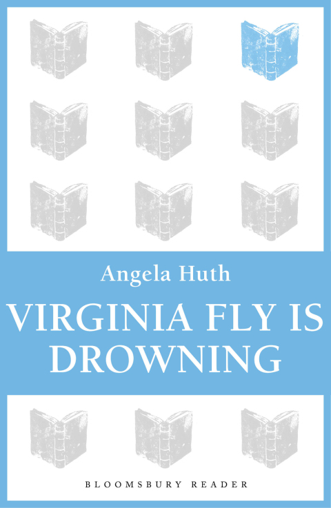 Cover image for book Virginia Fly is Drowning