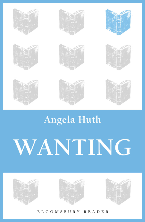 Cover image for book Wanting