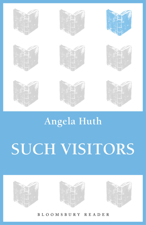Cover image for book Such Visitors